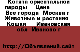 Котята ориентальной пароды  › Цена ­ 12 000 - Все города, Москва г. Животные и растения » Кошки   . Ивановская обл.,Иваново г.